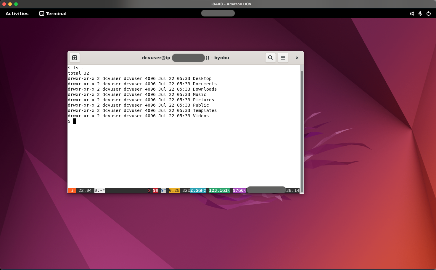 DCV Desktop Interface